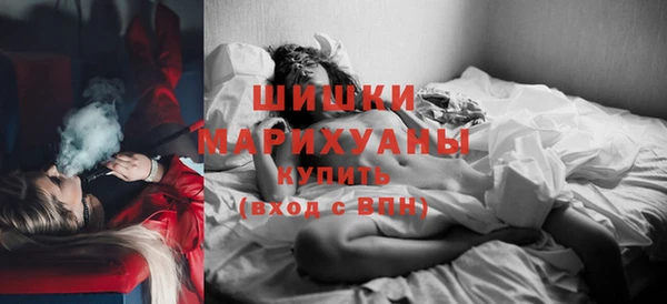 Альфа ПВП Гусев