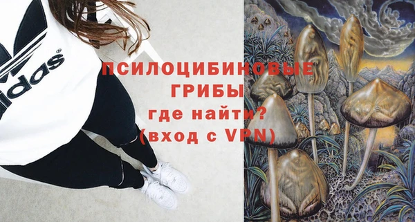 Альфа ПВП Дмитриев