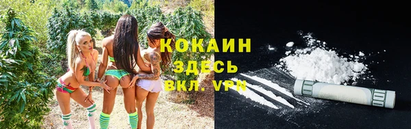 ALPHA PVP Дмитровск